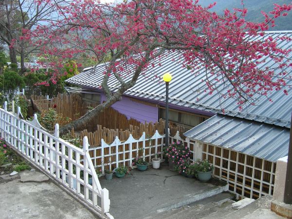 餐廳前景