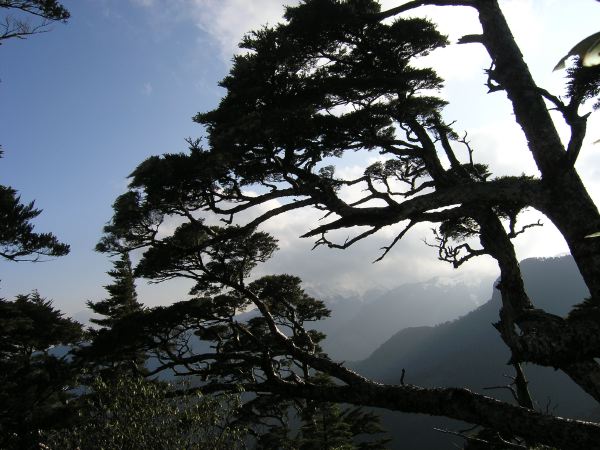 下池有山時所見的景色