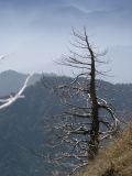 開始下桃山準備回家了