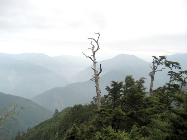 登塔關山途中