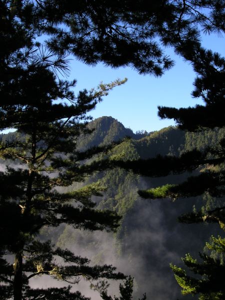 山中的雲雲也隨著氣溫的增高而緩緩上升。