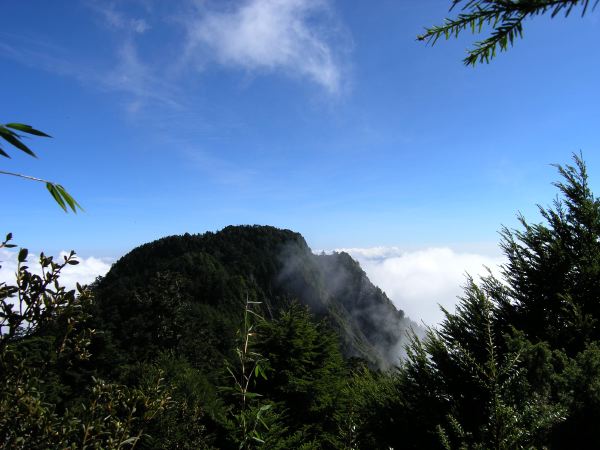 在一段急下坡處發現羊頭山就在眼前了。